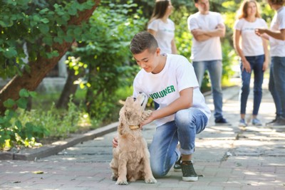ボランティアのシャツを着た男性と犬