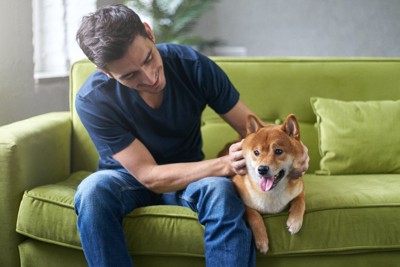 ソファーで犬を撫でる男性