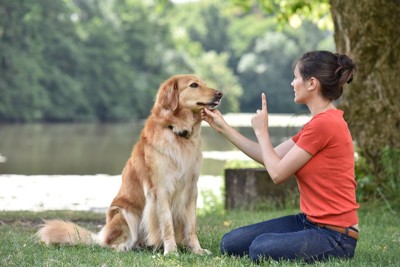トレーニング中の犬と女性