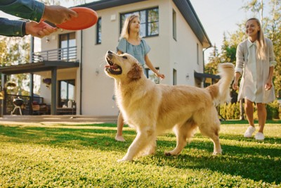 庭で家族と遊ぶ犬