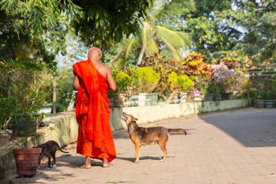 スリランカの僧侶と犬