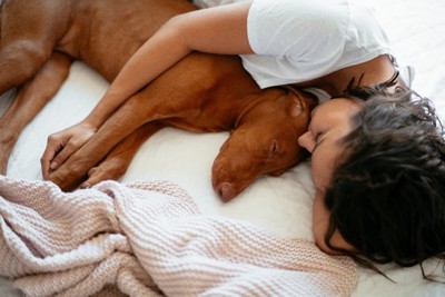 女性に抱きしめられて寝る犬