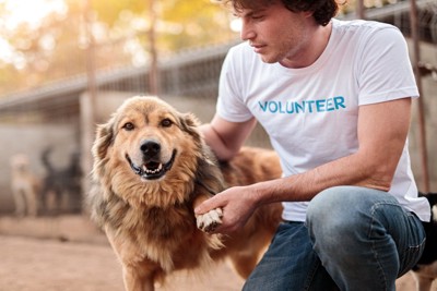 保護犬を撫でるボランティアの男性