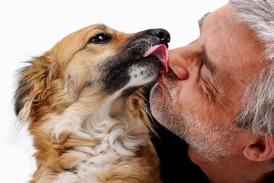 飼い主の顔を舐める犬