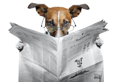 眼鏡をかけて新聞を読んでいる犬