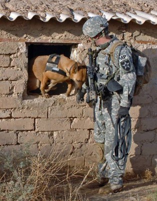 軍用犬