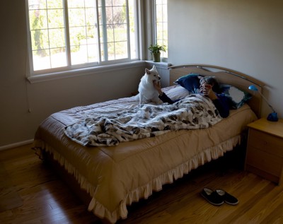 ベッドにいる人に撫でられる白い犬