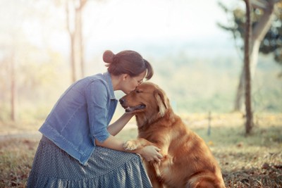 触れ合う犬と女性