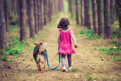 犬と散歩する子供の後ろ姿
