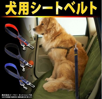 ④犬用シートベルト/汎用タイプ/ER-DGSB
