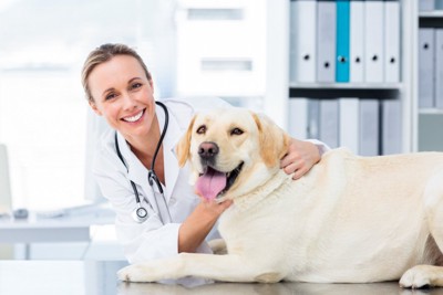 女性の獣医師と犬