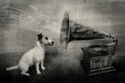 蓄音機の音を聴く犬