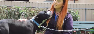 女性の顔を舐める白黒犬