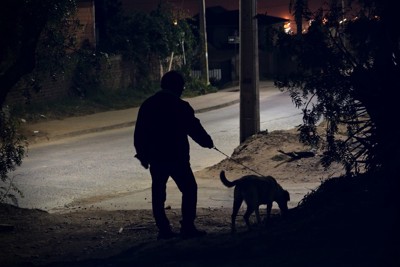 暗闇の中を歩く犬と人