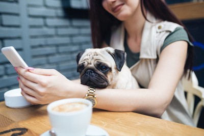 女性とカフェにいる犬