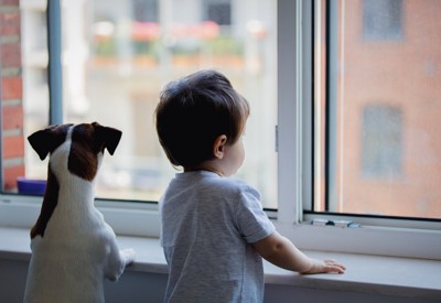 窓の外を眺める犬と子供の後ろ姿