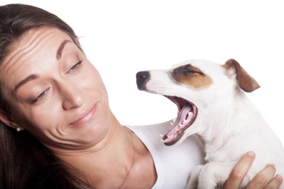 女性とあくびする犬