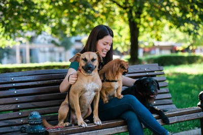 公園のベンチに犬を座らせる女性