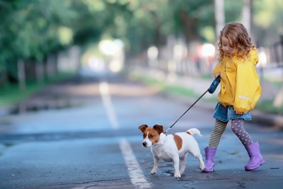 散歩中に道路を渡る犬と黄色い服の子供