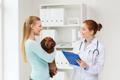 獣医師と会話する犬の飼い主