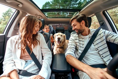車内の家族と犬