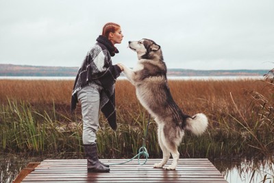 大型犬と女性