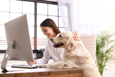 PCを見る女性と犬