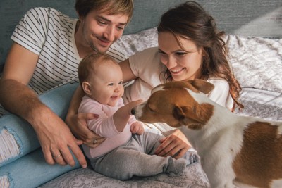 赤ちゃんと触れ合う犬と家族