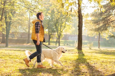 男性と散歩する犬