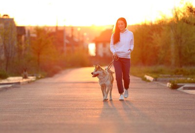 散歩する女性と秋田犬