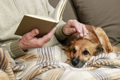 読書をする人と寄り添う犬