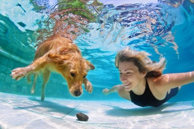 水に潜る犬と女性