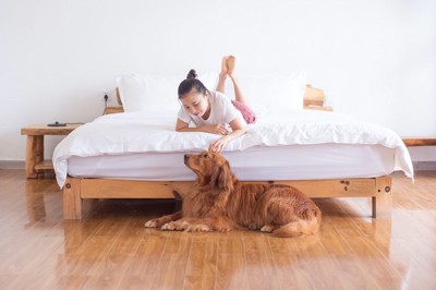 ベッドの上の女性と床でくつろぐ犬