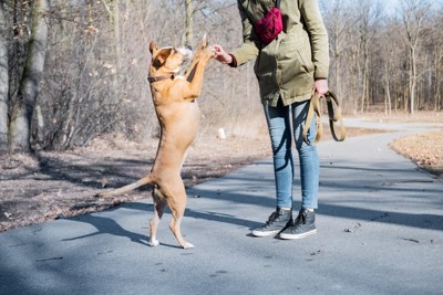 二本足で立つ犬と女性