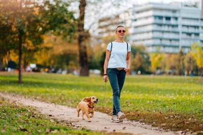 公園を散歩する犬と女性