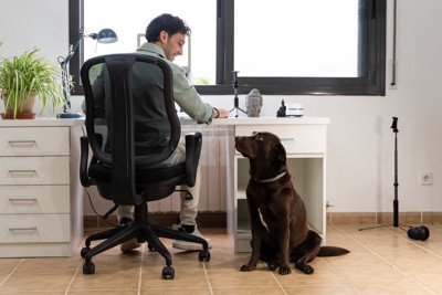 デスクで作業をする人のそばに座る犬