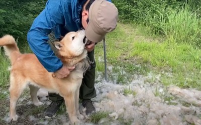 人の顔を舐める犬