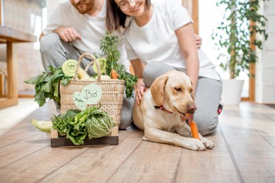 犬と野菜