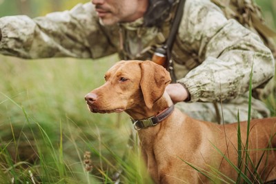 狩りをしている男性と犬