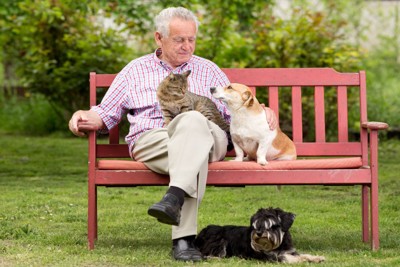 ベンチに座る犬と猫と年配の男性