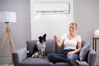 エアコンを操作する女性と犬