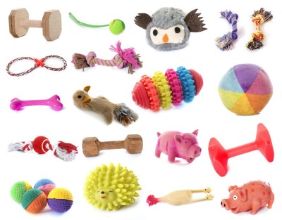 様々な種類の犬のおもちゃ
