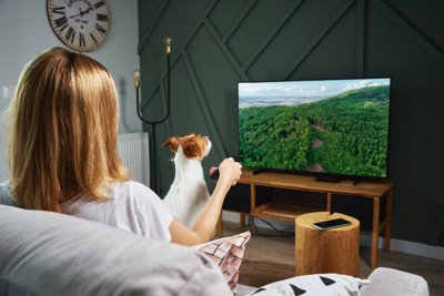 テレビを見る犬と女性