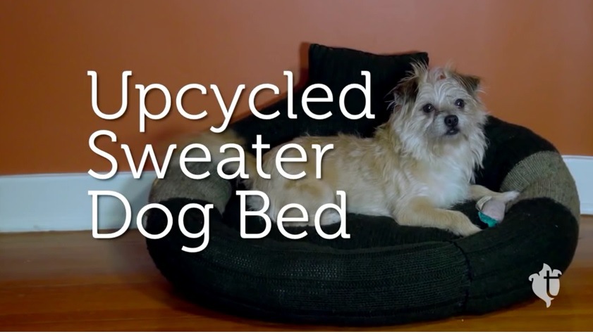 あなたのもう着なくなったセーターで 犬用ベッドを作ってみませんか わんちゃんホンポ