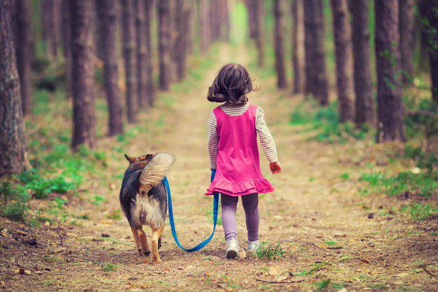 幼い女の子とお散歩する犬の後ろ姿