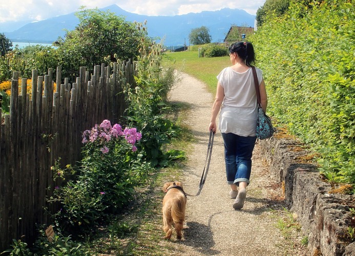散歩風景女性と犬