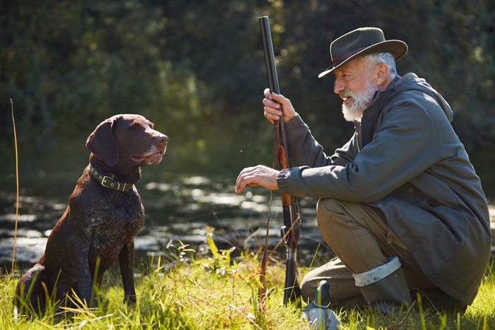 狩猟の犬と男性