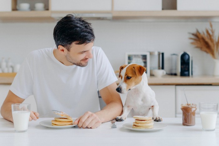 テーブルで食事する男性と犬