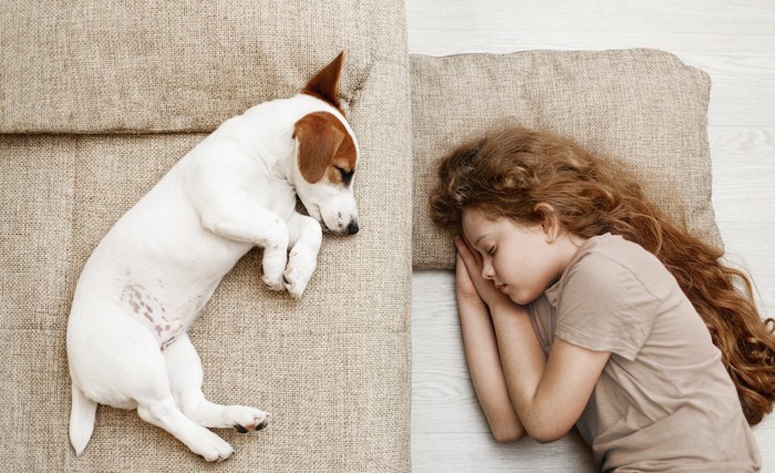 少女と犬寝ている
