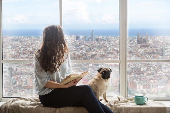 高層マンションの窓から外を見る女性と犬